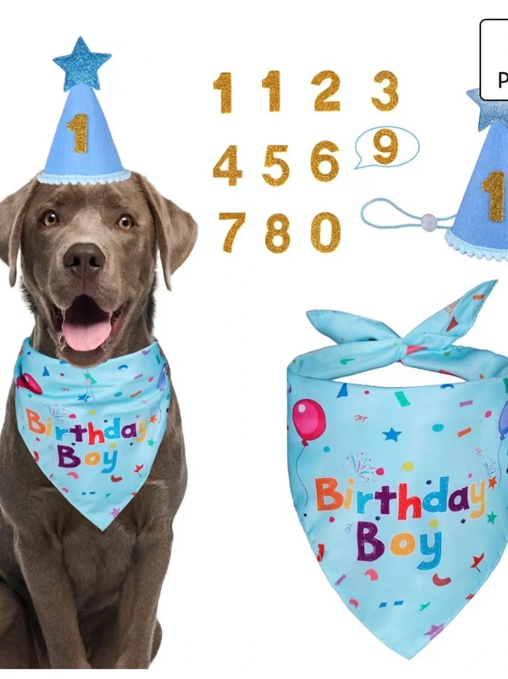 Birthday Boy Dog Bandana and Hat Set - Blue